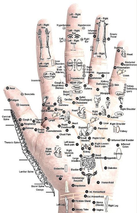 Acupressure Chart, Reflexology Pressure Points, Healing Reflexology, Ear Reflexology, Reflexology Foot Chart, Acupressure Therapy, Massage Therapy Techniques, Health Chart, Hand Reflexology