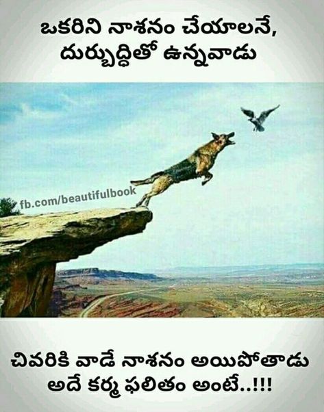 Cheating Quotes In Telugu, Free Life Quotes, Eye Opening Quotes, Love Quotes In Telugu, Quotes In Telugu, Devotional Topics, Telugu Inspirational Quotes, Jesus Christ Quotes, Sweet Romantic Quotes