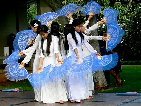 Vietnamese Fan Dance, Vietnam Music, Vietnam Honeymoon, Vietnamese Culture, Fan Dance, Vietnam Tours, Lion Dance, Shall We Dance, Traditional Dance