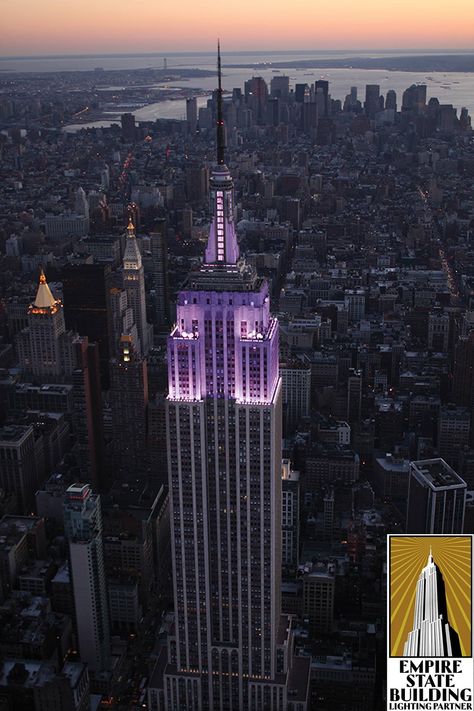 Purple lit in honor of NYU graduation... Go Bobcats! Nyu Graduation, Prematurity Day, Nyu Law, World Prematurity Day, Tower Light, Voyage New York, Zero Days, Empire State Of Mind, Dream College