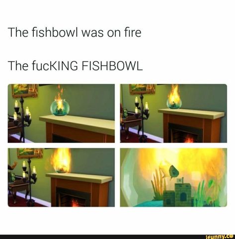 Sims Glitches, Sims Funny, Sims Memes, Gaming Memes, Best Funny Pictures, Tumblr Funny, On Fire, Funny Laugh, Popular Memes