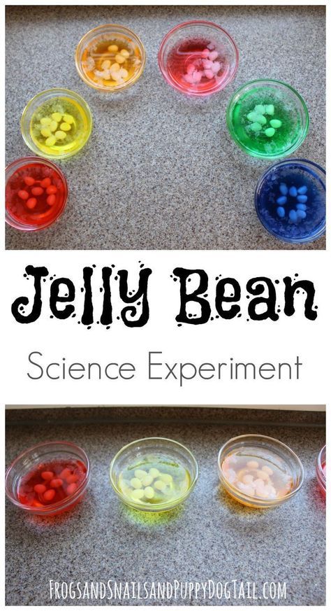 Bean Science Experiment, Jelly Bean Science Experiment, Candy Science, Preschool Easter, Simple Science, Easter Preschool, Science Club, Edible Crafts, Kid Experiments