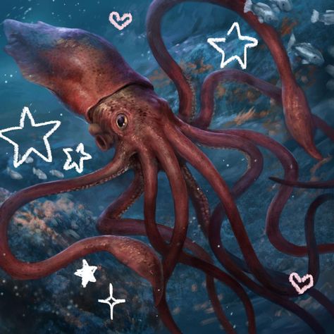 Cephalopod Wallpaper, Marine Widgets, Squid Aesthetic, Animals In The Ocean, Ocean Icons, Squid Drawing, Cute Squid, Cool Sea Creatures, Cute Sea Animals