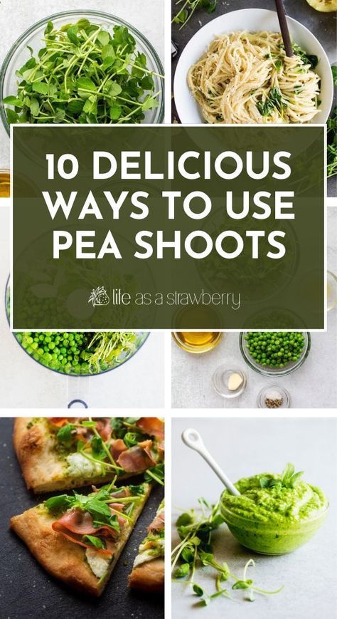 Pea Shoots Recipe Salad, Pea Sprouts Recipes, Pea Shoot Salad, Pea Microgreens Recipes, Pea Tips Recipe, Pea Recipes Side Dishes, Pea Tendrils Recipe, Pea Shoots Recipe, Microgreen Recipes