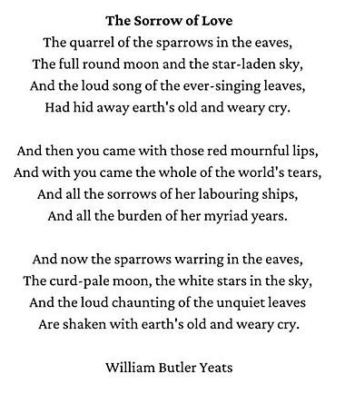 19th Century Poetry, Theory Of Life, Fav Poetry, W B Yeats, Poetry Slam, William Butler Yeats, Poet Quotes, Slam Poetry, Literature Quotes