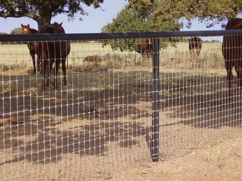 No Climb Horse Fence, Country Fencing, Property Fence, Livestock Fencing, Backyard Fencing, Farm Fencing, Pipe Fence, Livestock Fence, Pasture Fencing