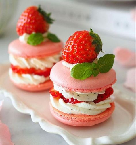 Kue Macaroon, Macaron Tower, Macaron Cake, Dessert Photography, Pretty Dessert, Fancy Desserts, Cute Desserts, Mini Desserts, Desert Recipes