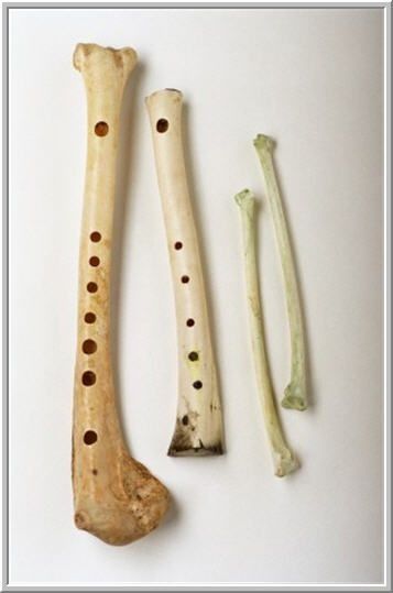 instrements made from bones - Ecosia - Images Medieval Music, Diy Instruments, Native American Flute, Bone Crafts, Bone Art, Folk Instruments, Bone Carving, Ancient History, Archaeology