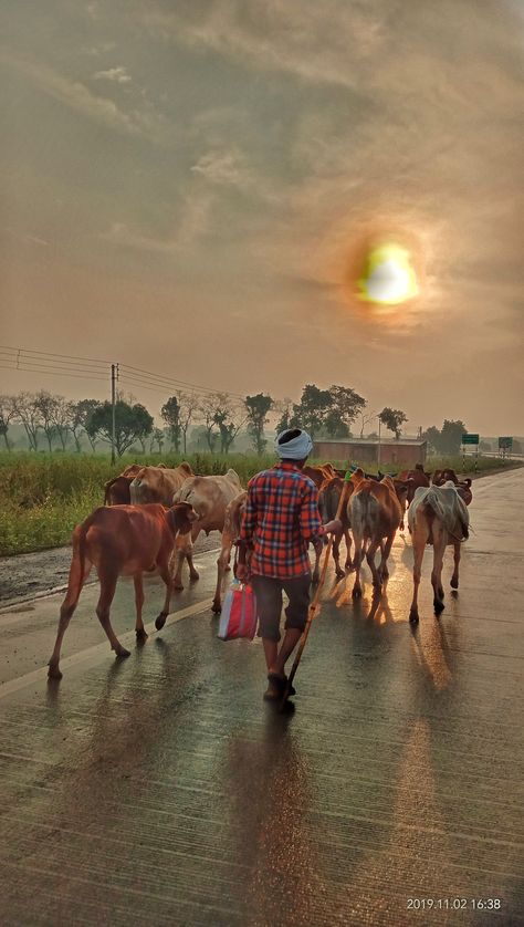 Farmers Photography Indian, Christmas Instagram Pictures, Islamic Library, Hd Landscape, House Paintings, Hanuman Video, Green Village, Album Artwork Cover Art, Christmas Instagram