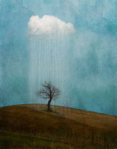 Peace Of Mind Art, Jamie Heiden, Earth Painting, Hope Images, Hope Painting, Quiet Mind, Finding Hope, Happy Earth Day, Peace Art