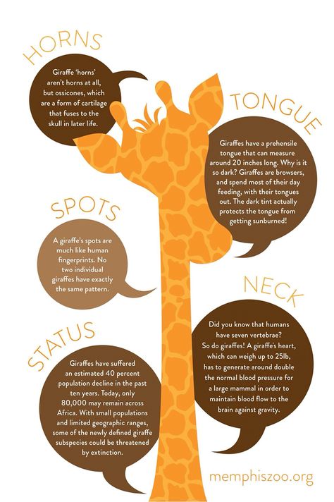 Giraffe Meaning, Giraffe Quotes, Giraffe Facts, Giraffes Cant Dance, Giraffe Party, Zoo Activities, Giraffe Pictures, Giraffe Illustration, Giraffe Decor