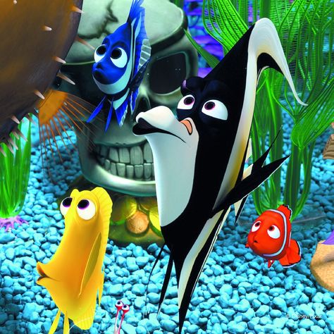 Gill Finding Nemo, Marlin Finding Nemo, Wallpaper Adventure, Nemo Movie, Dory Finding Nemo, Blank Comic Book, Disney Finding Nemo, Jigsaw Puzzles For Kids, Kids C