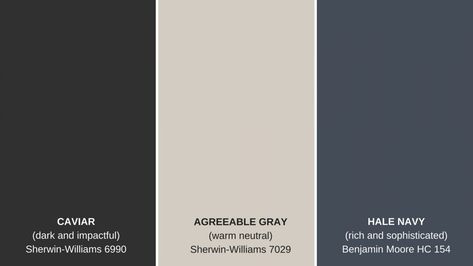 Oak Floor Living Room, Decorating Tips And Tricks, Color Bathroom, Hale Navy, Agreeable Gray, Farm House Colors, Neutral Paint Colors, Color Vibe, Sherwin Williams Paint Colors