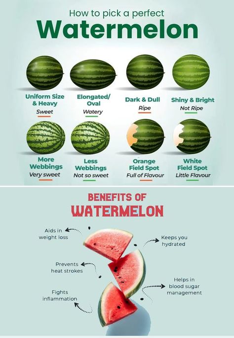 Watermelon Chart, Watermelon Facts, Fruit Facts, Life Made Simple, Watermelon Health Benefits, Watermelon Benefits, Sweet Watermelon, Incredible Edibles, Healthy Homemade Recipes