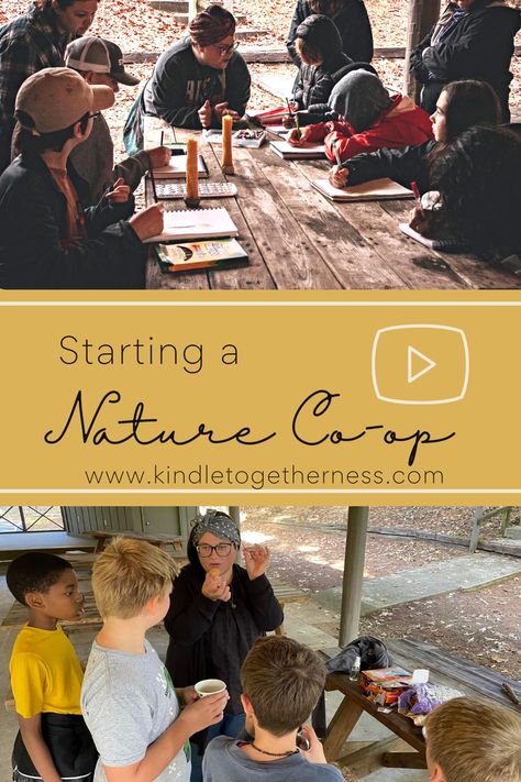 Have you been wanting to start your own nature co-op? Check out this video with lots of details on how to build a local community that loves gathering in nature together. #wildandfree #naturecoop #naturestudy #homeschool Charlotte Mason Homeschool, Nature School, Adventure Club, Charlotte Mason, Local Community, Nature Study, Wild And Free, That's Love, Teacher Resources