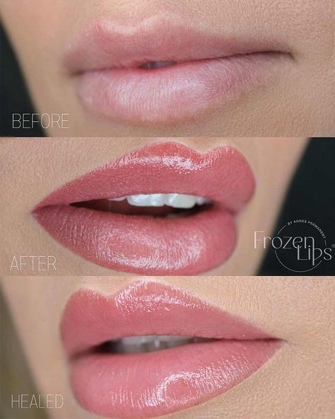 Lip Blush Permanent Makeup, Lip Blushing Color Chart, Pink Lip Blush, Lip Blushing Tattoo Colors Mauve, Lip Blush Color Chart, Lip Blushing Tattoo Colors Natural, Lip Blushing Colors, Lip Tattoo Cosmetic, Permanent Lip Color Tattoo