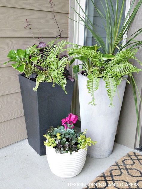 Modern contemporary planters for front porch with tropical flowers Front Porch Planter Ideas, Porch Planter Ideas, Porch Planter, Front Door Planters, Front Porch Flowers, Front Porch Planters, Door Planter, Spring Porch Decor, Porch Plants