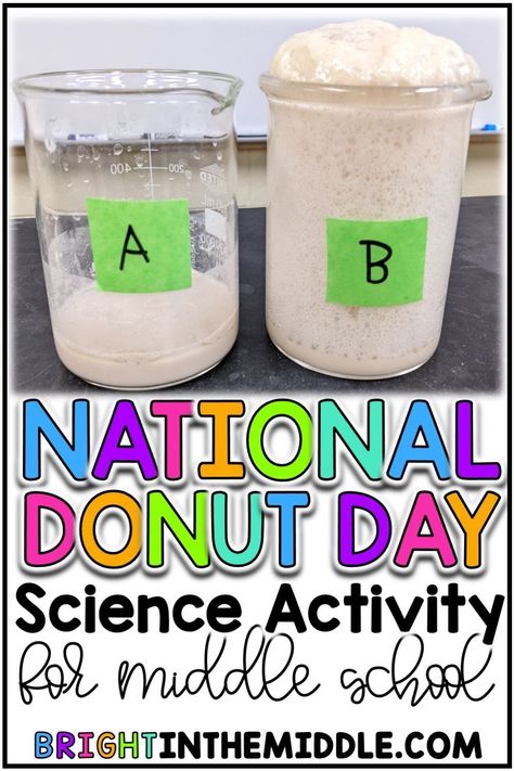 Donut Science Experiment, Science Projects Middle School, 6th Grade Science Projects, Stem Activities Middle School, Physical Science Middle School, Bio Lab, Life Science Middle School, School Science Experiments, Chemistry Activities