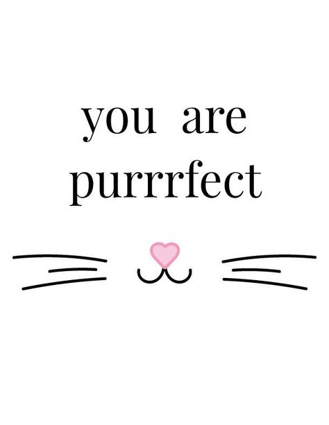 Cat Motivational Quotes, Cat Aesthetic Quotes, Cat Card Ideas, Cat Quotes Love, Quotes For Cats, Cat Lover Quotes, Meow Quotes, Pet Lovers Quotes, Cat Motivation