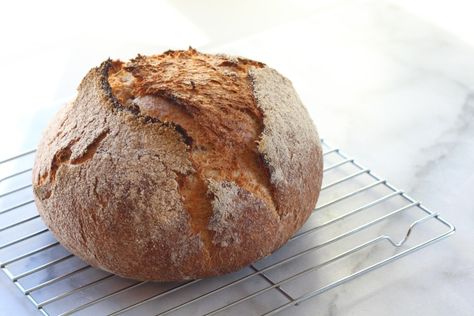 No-Knead Honey Whole Wheat Bread