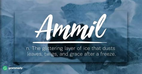 Ammil comes from the Old English term for enamel. Now the word refers to the glittering layer of ice that dusts leaves, twigs, and grass after a freeze. Words For Nature Lovers, Nature Related Words, Nature Definitions, Nature Words Unique, Unusual Words With Beautiful Meanings, Nature Lover Quotes, Word English, Rare Quotes, Nature Words