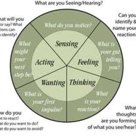 Wheel of Awareness Psychology Printables, Wheel Of Awareness, Career Ideas, Clinical Social Work, Therapeutic Activities, Social Workers, Difficult Conversations, Art Therapy Activities, Therapy Counseling