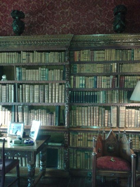 Library in Chirk Castle. Chirk Castle, Castles In England, Home Libraries, Corner Bookcase, Wales, Scotland, Bookcase, Castle, England