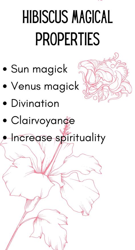 Lemongrass Magical Properties, Flowers Magical Properties, Hibiscus Witchcraft, Passion Flower Magical Properties, Hibiscus Spiritual Benefits, Hibiscus Magical Properties, Comfrey Leaf Magical Properties, Passionflower Magical Properties, Eyelash Extensions Classic