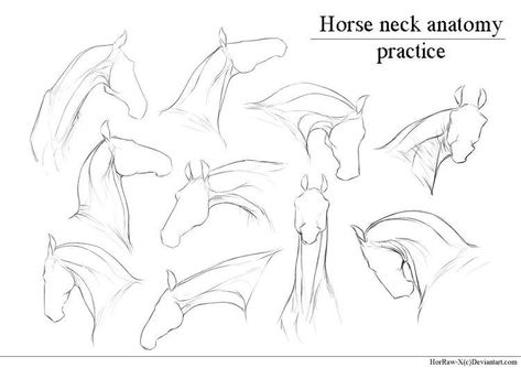 Horse Drawing Tutorial, Horse Art Drawing, Anatomy Practice, Horse Sketch, Horse Anatomy, Horse Drawing, Horse Drawings, Equine Art, Poses References