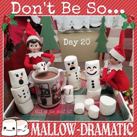 Elf Ideas Marshmallows, Elf On The Shelf And Marshmallows, Elf Hot Chocolate On The Shelf, Elf And Marshmallows, Marshmallow Elf On The Shelf Ideas, Elf With Marshmallows, Elf Marshmallows, Elf On The Shelf Ideas Marshmallows, Elf On The Shelf With Marshmallows