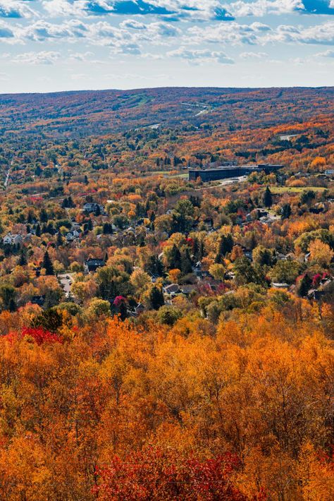 Check out "Minnesota Fall Colors" in Minnesota Minnesota Travel Fall, Minnesota Countryside, Fall Minnesota, Minnesota Scenery, Minnesota Aesthetic, Franconia Sculpture Park, Grand Portage State Park, Fall Wonderland, Minnesota Nature