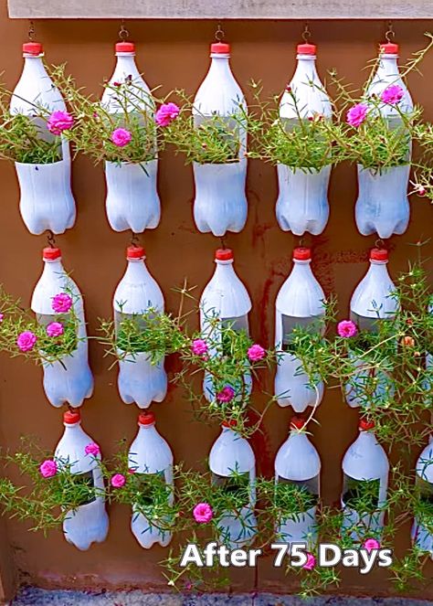 Moss-rose Purslane, Garden Ideas With Plastic Bottles, Indoor Plant Trellis, Flower Place, Plastic Bottle Planter, Patio Gardens, Design Garden Ideas, Flower Places, Plastic Bottle Art