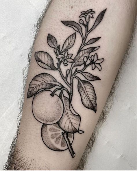 Botanical Tattoo Traditional, Black And Grey Botanical Tattoo, Botanical Tattoo Flash, Illustrative Blackwork Tattoo, Orange Tattoo Black And White, Fruit Tattoos, Orange Tattoo, Illustrative Tattoos, Fruit Tattoo