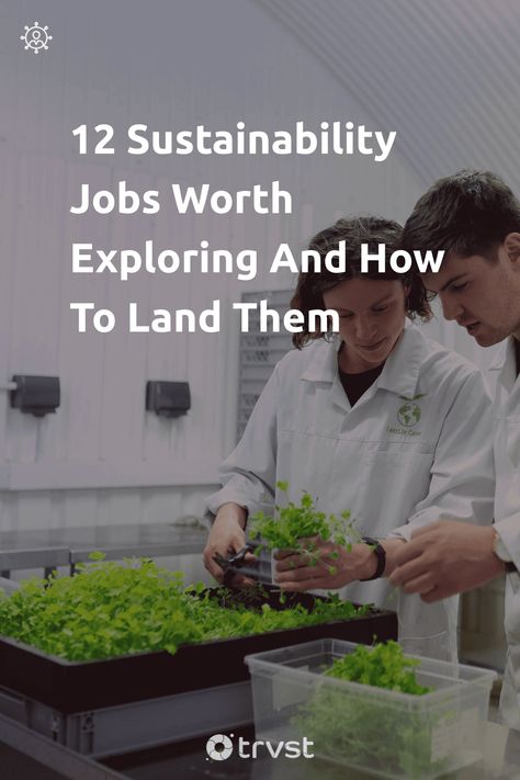 🌎💼 Explore ways your passion for the planet can define your profession.👩‍🔬👨🏽‍💼 With 12 rewarding green jobs, your career can leave a positive impact. Discover myriad roles from conservation analyst to sustainability marketer and start a greener journey today! 💚🌳 #GreenJobs #Sustainability #EcoFriendlyCareers #CareerChange #MakeADifference Graduate Early, Green Jobs, Environmental Scientist, Online Conference, Sustainable Transport, Environmental Engineering, Environmental Problem, Transportation Engineering, Work Skills