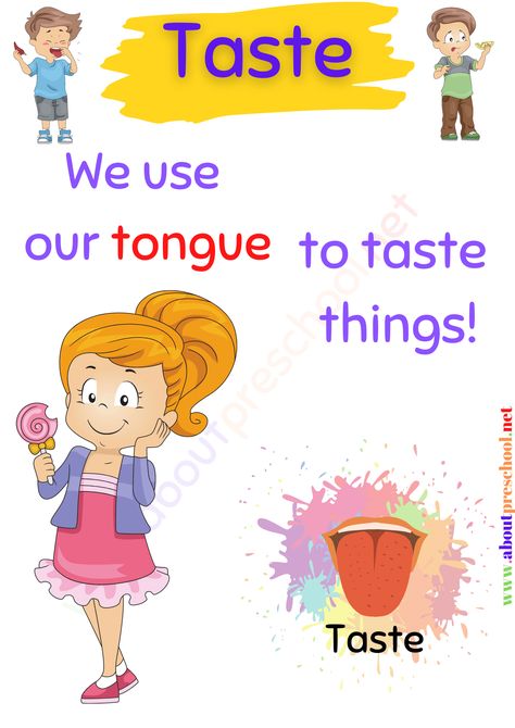 5 Senses Pictures For Kindergarten, 5 Senses Lesson Plan, 5 Senses Activities Kindergarten, Kindergarten 5 Senses, 5 Senses Activities For Preschoolers, Body Kindergarten, 7 Senses, Body Parts Preschool Activities, Sense Organs