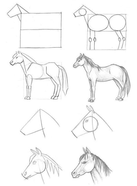 Horse Painting Ideas Easy, Horse Drawings Pencil Easy, Horse Painting Step By Step, Drawing Ideas Horse, Horse Sketch Easy, Horse Drawing Pencil, Horse Drawing Easy, Easy Horse Drawing, Draw Horse