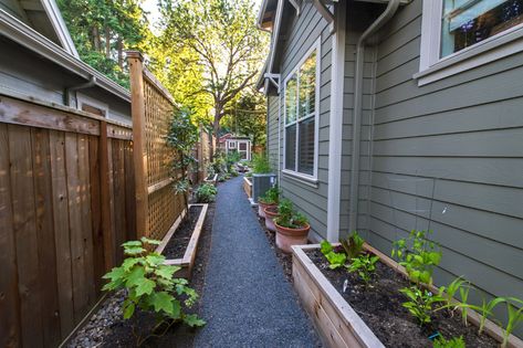 Garden Design For Small Yards - Paradise Restored Landscaping Small Side Yard Garden Ideas, Planting Raised Garden Beds, Yard Trellis, Earth Room, Side Yard Garden, Garden Outdoor Ideas, Small Yard Landscaping, Screen Plants, Side Yard Landscaping