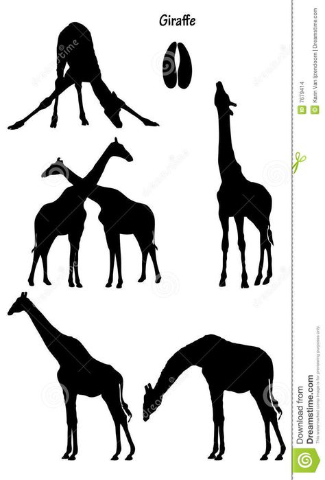 Illustration about Collection of giraffes on white background in black silhouette. Also included a giraffe track. Illustration of wildlife, black, giraffe - 7679414 Track Illustration, Giraffe Silhouette, Giraffe Drawing, Giraffe Pictures, Silhouette Pictures, African Quilts, Amazing Scenery, Floral Logo Design, Wildlife Artwork