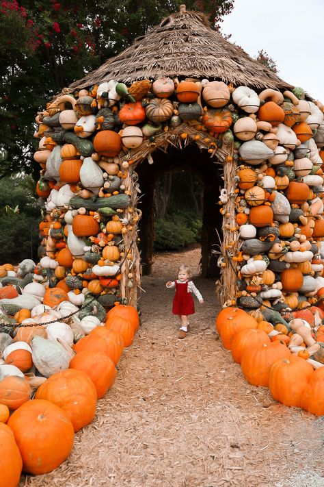 Pumpkin Village, Fall Creations, Hay Bales, Halloween Time, Corn Maze, Halloween Illustration, Fall Dress, Fall Decorating, Fall Festival