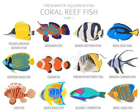 White Coral Reef, Fish Chart, Mandarin Fish, Saltwater Aquarium Fish, Fish Icon, Butterfly Fish, Fish Breeding, Salt Water Fish, Freshwater Aquarium Fish