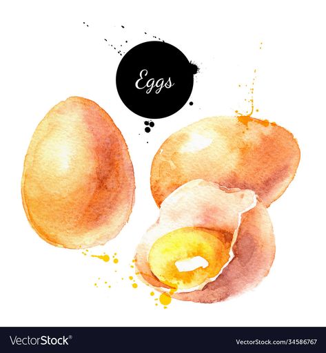 Eggs Drawing, Watercolor Eggs, Egg Drawing, Egg Watercolor, Eco Food, Food Watercolor, Product Illustration, Food Sketch, Art Tutorials Watercolor