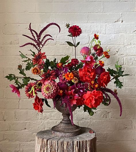 Dramatic Flower Arrangements, Purple And Red Floral Arrangements, Fruit And Flowers Arrangement, Red Purple Flowers Arrangement, All Red Flower Arrangements, Deep Red Flower Arrangements, Dramatic Floral Arrangements, Red Pink Flower Arrangements, Dark Red Floral Arrangements