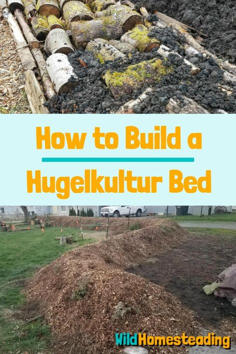 Hugel Beds Garden, Hugelkultur Raised Beds, Transplanting Plants, Wall Building, Garden Paradise, Retaining Water, Slate Wall, Permaculture Gardening, Market Garden