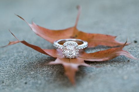 Autumn Jewellery Aesthetic, Accessories Photography Ideas Photo Shoot, Fall Jewelry Photography, Autumn Jewelry Photography, Winter Jewellery, Jewellery Photo, Jewelry Mood Board, Autumn Photoshoot, Creative Jewelry Photography