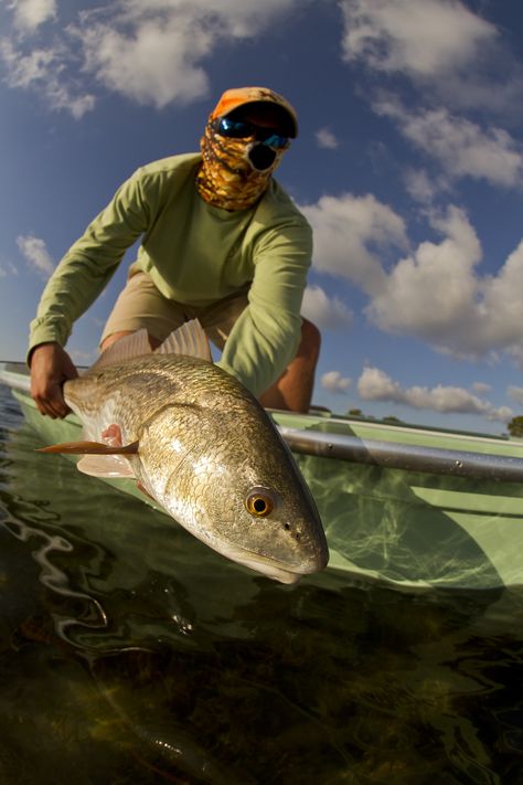 A year-long look at the fishing scene from Alligator Point to Apalachicola Florida. Florida Fishing, Apalachicola Florida, Alligators In Florida, Pensacola Florida Fishing, Florida Fish, Fish Feed, Salt Water Fishing, Buy Fish, Angler Fish