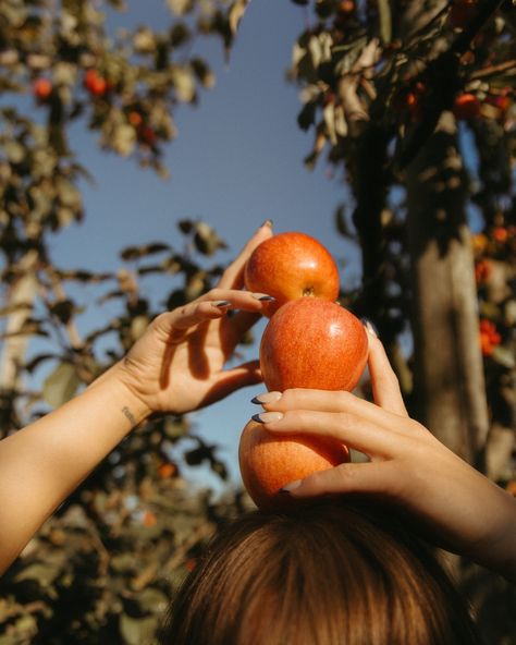 when you love someone to their core >> i know it's not fall or apple orchard photoshoot season yet, but i've been eating apples like crazy lately so this feels right 🤍 #anacortesphotographer #bellinghamphotographer #creativeportraits #seattlephotographer #pacificnorthwestphotographer #philchesterpresets Orange Orchard Photoshoot, Apple Garden Photoshoot, Apple Orchard Fall Photoshoot, Orange Grove Photoshoot, Apple Picking Instagram Pictures, Apple Tree Aesthetic, Kjp Fall, Apple Orchard Aesthetic, Pottery Photoshoot