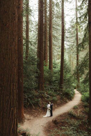 Color Theory Design, Oregon Wedding Venues, Redwood Deck, Hoyt Arboretum, Redwood Forest Wedding, Portland Wedding Venues, Redwood Decking, Redwood Wedding, Wedding Venues Oregon