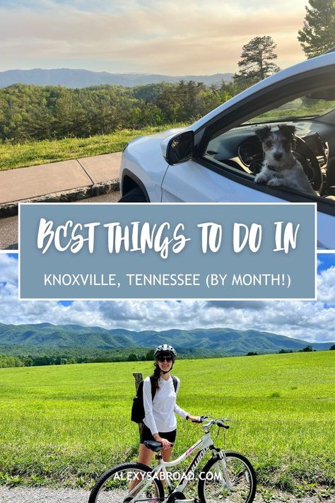 Here are the best outdoor things to do in Knoxville, Tennessee. These activities are all an hour or less from Knoxville, making these the perfect things to do if you live in or are visiting Knoxville! Knoxville Tn Things To Do In, Things To Do In Knoxville Tennessee, Things To Do In Knoxville, Travel Blog Design, Indoor Climbing Gym, Vacation 2025, Wedding Friends, Time Planning, Grow Old With Me