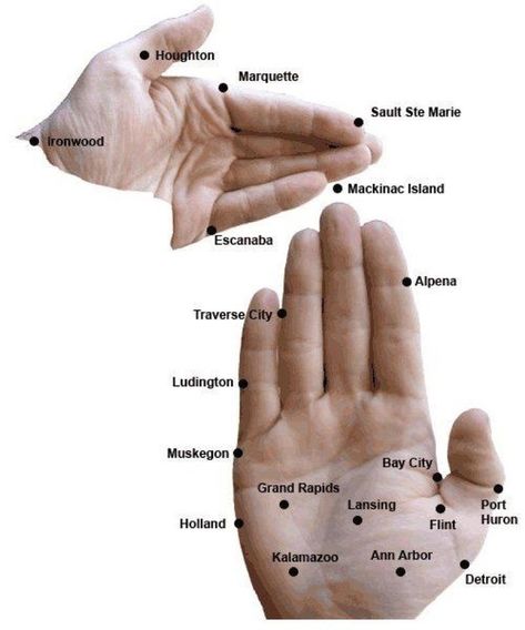 Michiganders get to flawlessly use our own hands as a map. It’s the most convenient thing ever. Michigan Accent, Map Of Michigan, Michigan Girl, Slang Words, Michigan Travel, State Of Michigan, What A Wonderful World, Mackinac Island, Traverse City