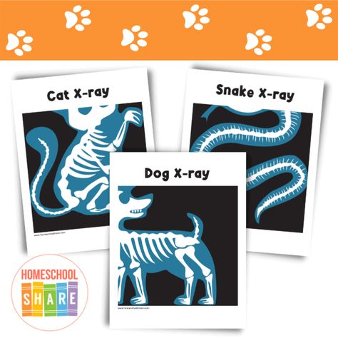 Vet Clinic Pretend Play Printables - Homeschool Share Veterinary Preschool Activities, Vet Sensory Play, Veterinary Clinic Dramatic Play, Vet Shop Dramatic Play, Veterinary Dramatic Play Center, Pet Dramatic Play Preschool, Free Vet Clinic Printables, Pet Vet Dramatic Play Printables Free, Pretend Play Vet Clinic